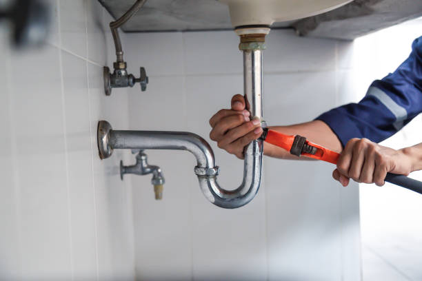 Best Clogged Drain Plumber  in Crystal Falls, MI